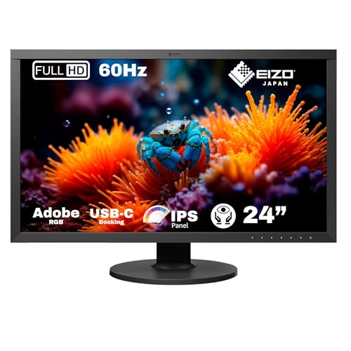 EIZO CG2420-BK ColorEdge Professional Color Graphics Monitor 24.1" Black